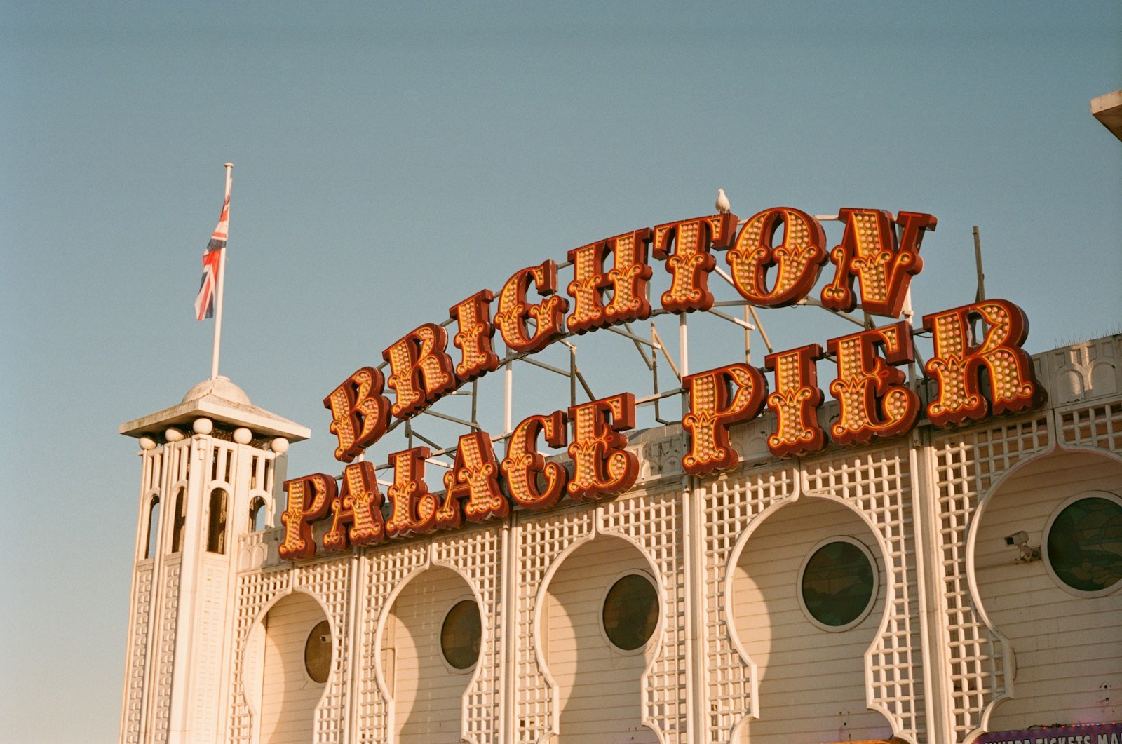 Welcome to Brighton Locals News