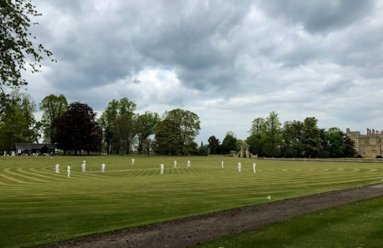Cricket players on a grass pitch, used to illustrate Sussex's County Championship win over Nottinghamshire
