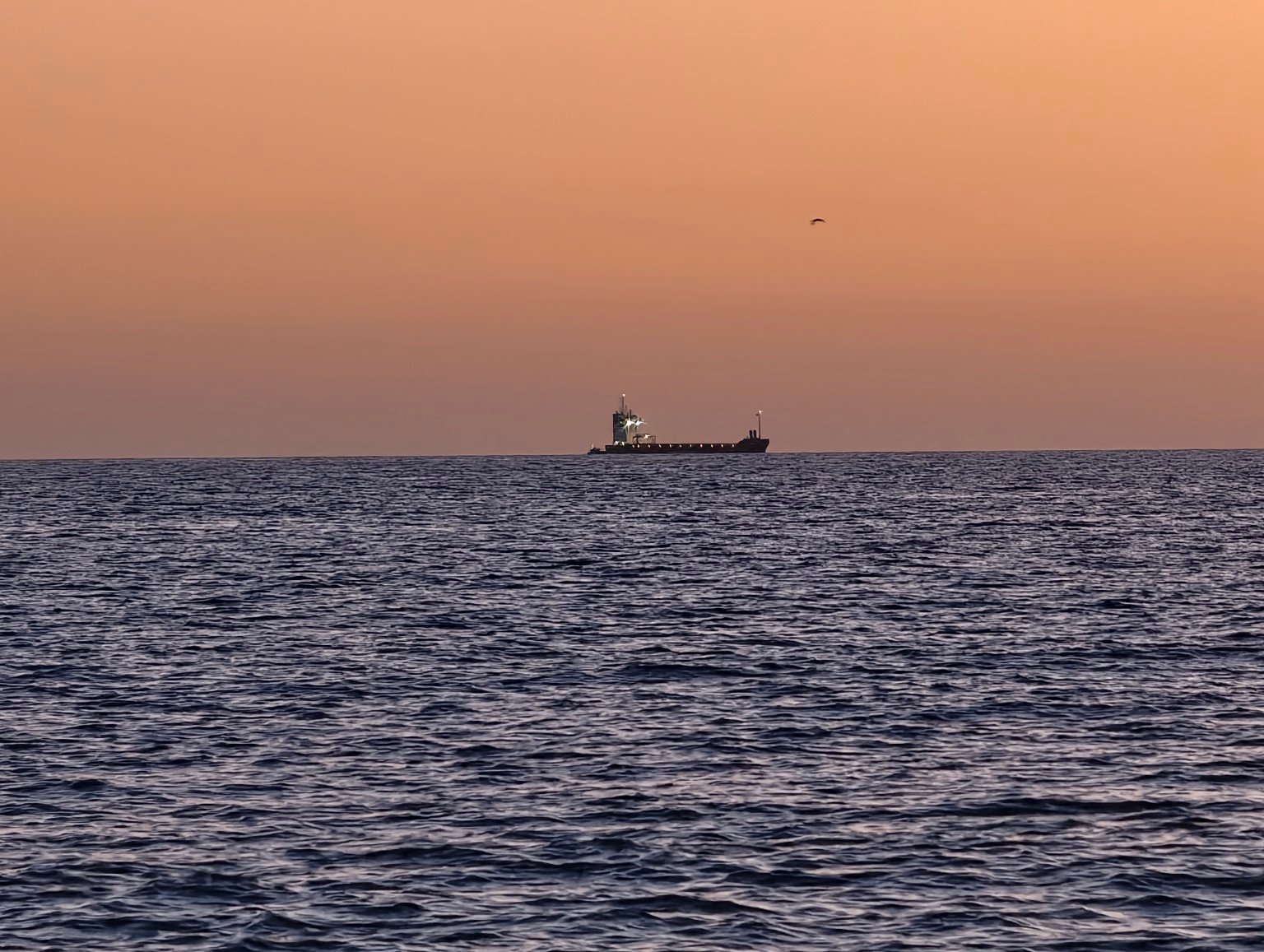 Cargo ship off the Hove coast beneath an orange sunset sky, photographed by Brighton Locals