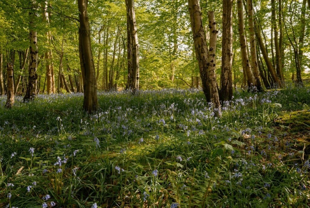 Stanmer Park Brighton 1 1024x689
