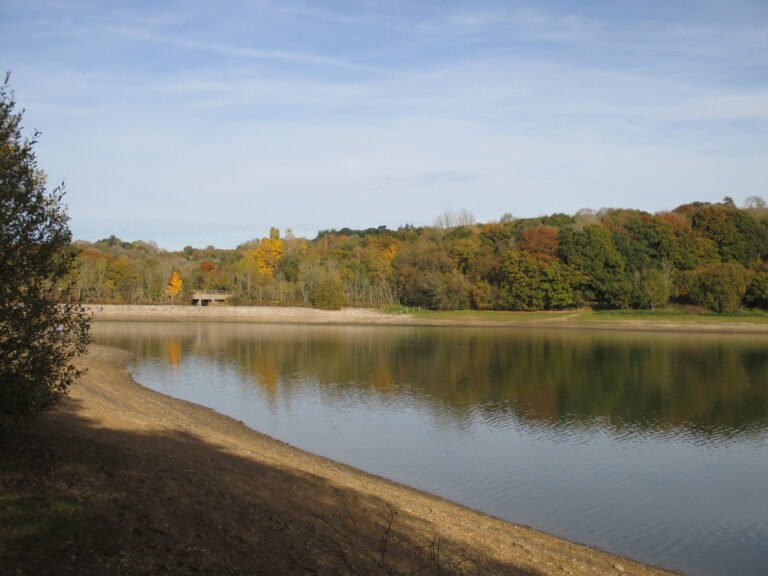 Ardingly Reservoir in West Sussex viewed from the north bank on 31 October 2016; archive photograph, not October 2026 water levels.
