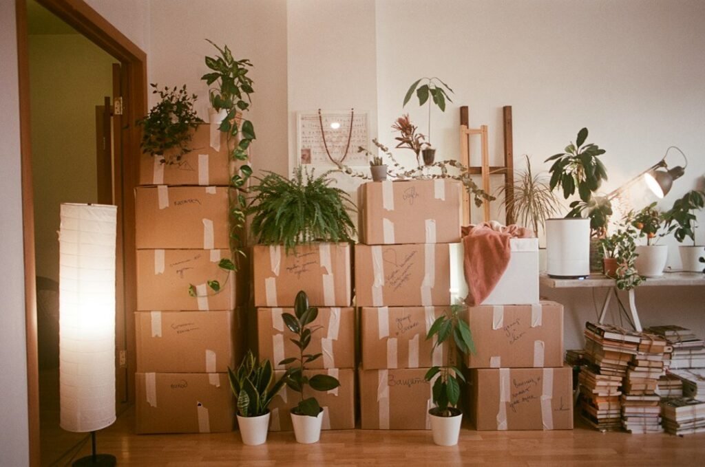 Directory illustration moving boxes 1 1024x679