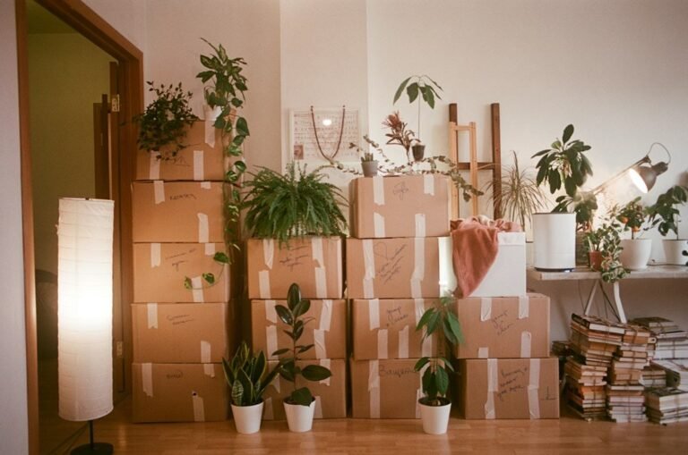 Directory illustration moving boxes 1 768x509