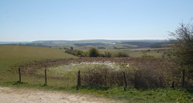 View across the Sussex Downs from Ditchling Beacon in April 2021; archive landscape photograph