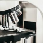 University of Sussex
